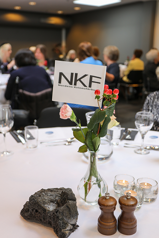 NKF faninn i vasa web